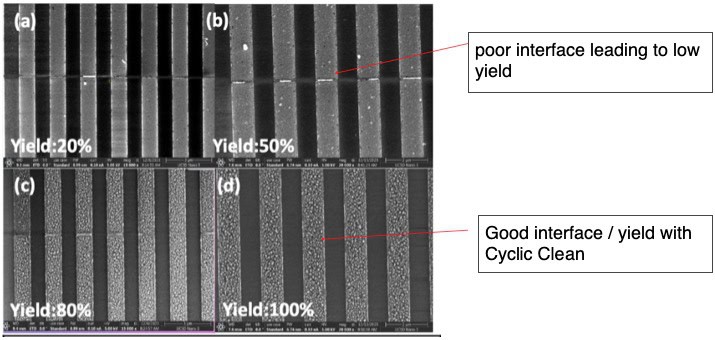 SEM top-view of 300cyc Co ALD ondaisy chains